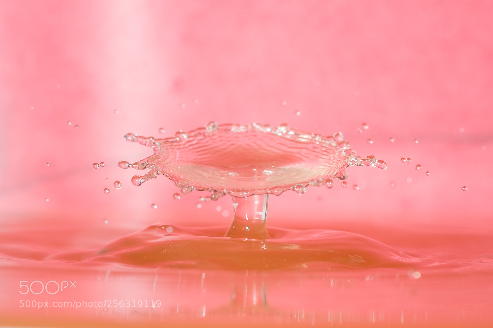 Fujifilm X-E1 sample photo. Waterart photography