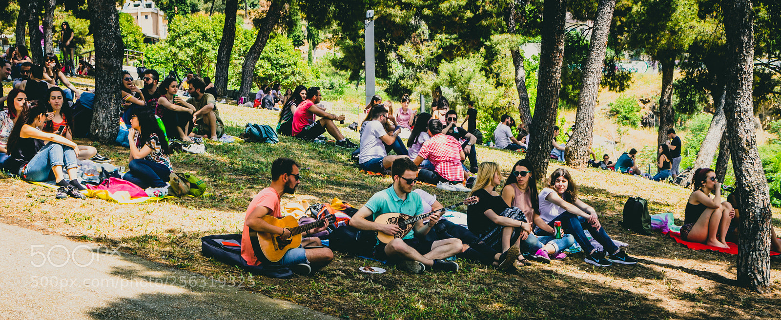 Canon EOS 750D (EOS Rebel T6i / EOS Kiss X8i) sample photo. Picnic at the park 4 photography
