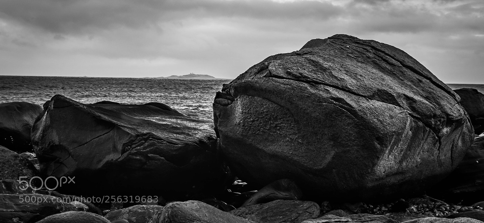 Canon EOS 7D Mark II sample photo. Untitled photography