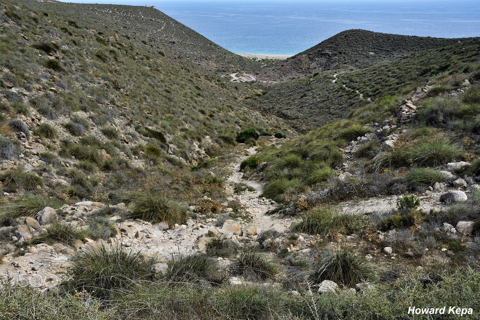 Nikon D7100 sample photo. El descenso de los muertos. photography