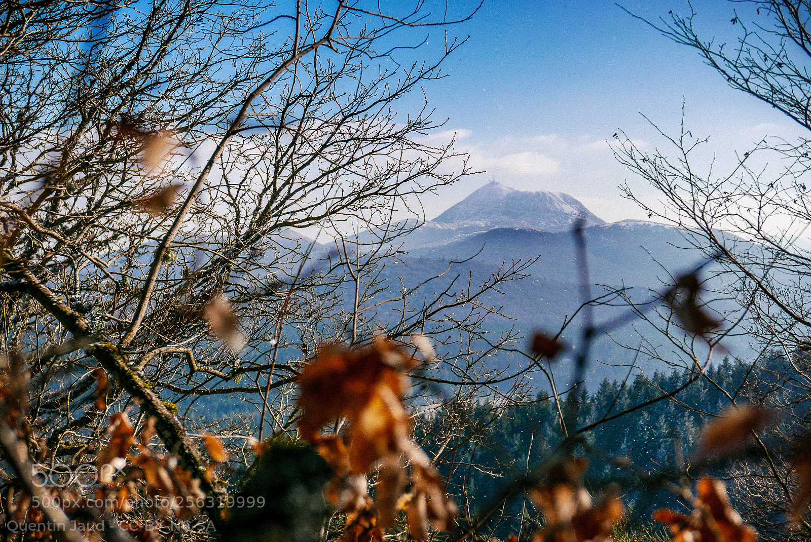 Panasonic Lumix DMC-LX100 sample photo. Autumn memories photography
