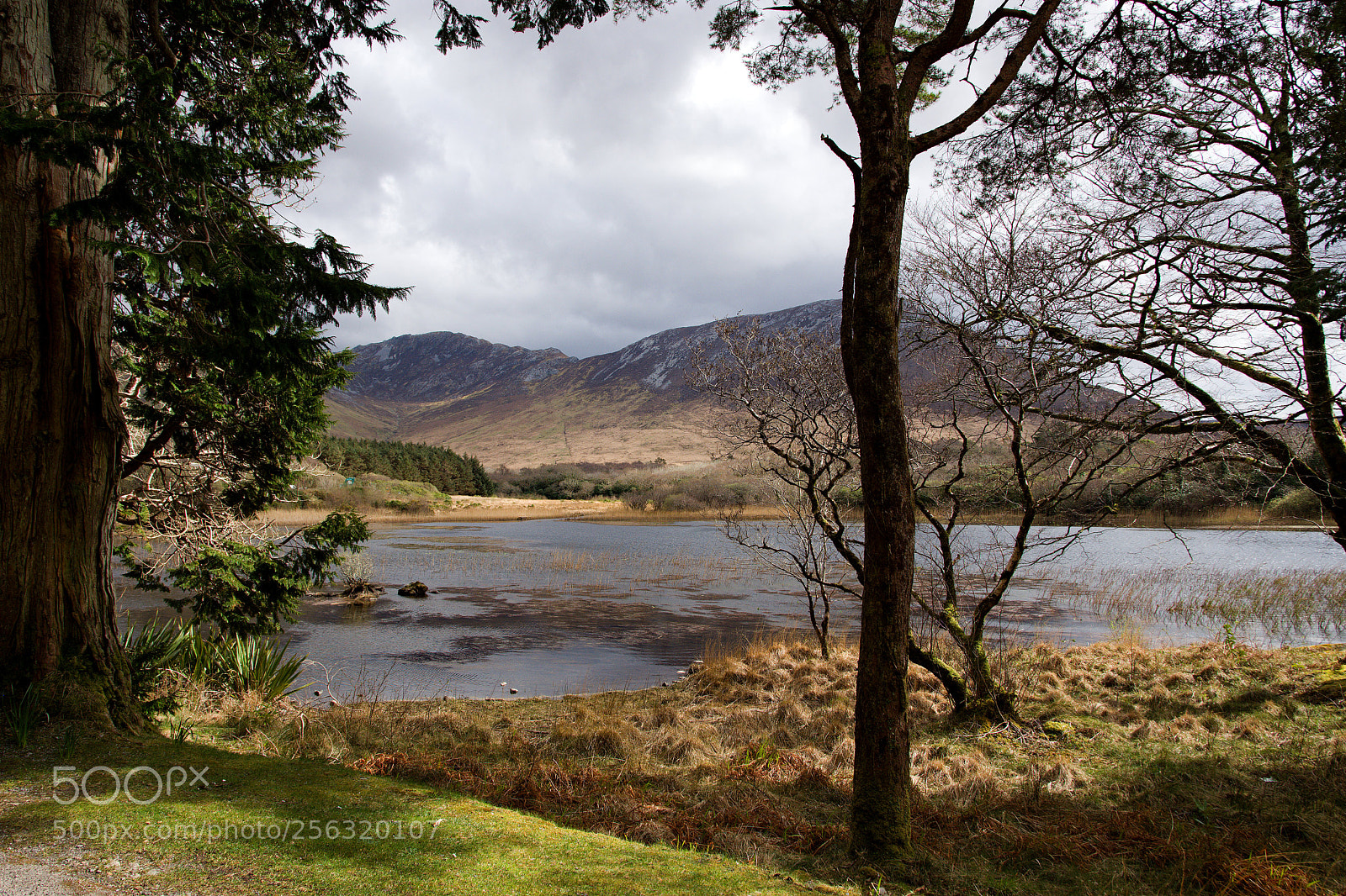 Nikon D7200 sample photo. Kylemore abbey (park) photography
