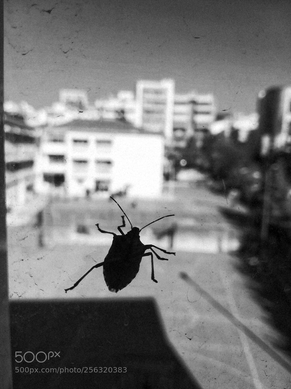 HUAWEI P10 lite sample photo. School.. photography