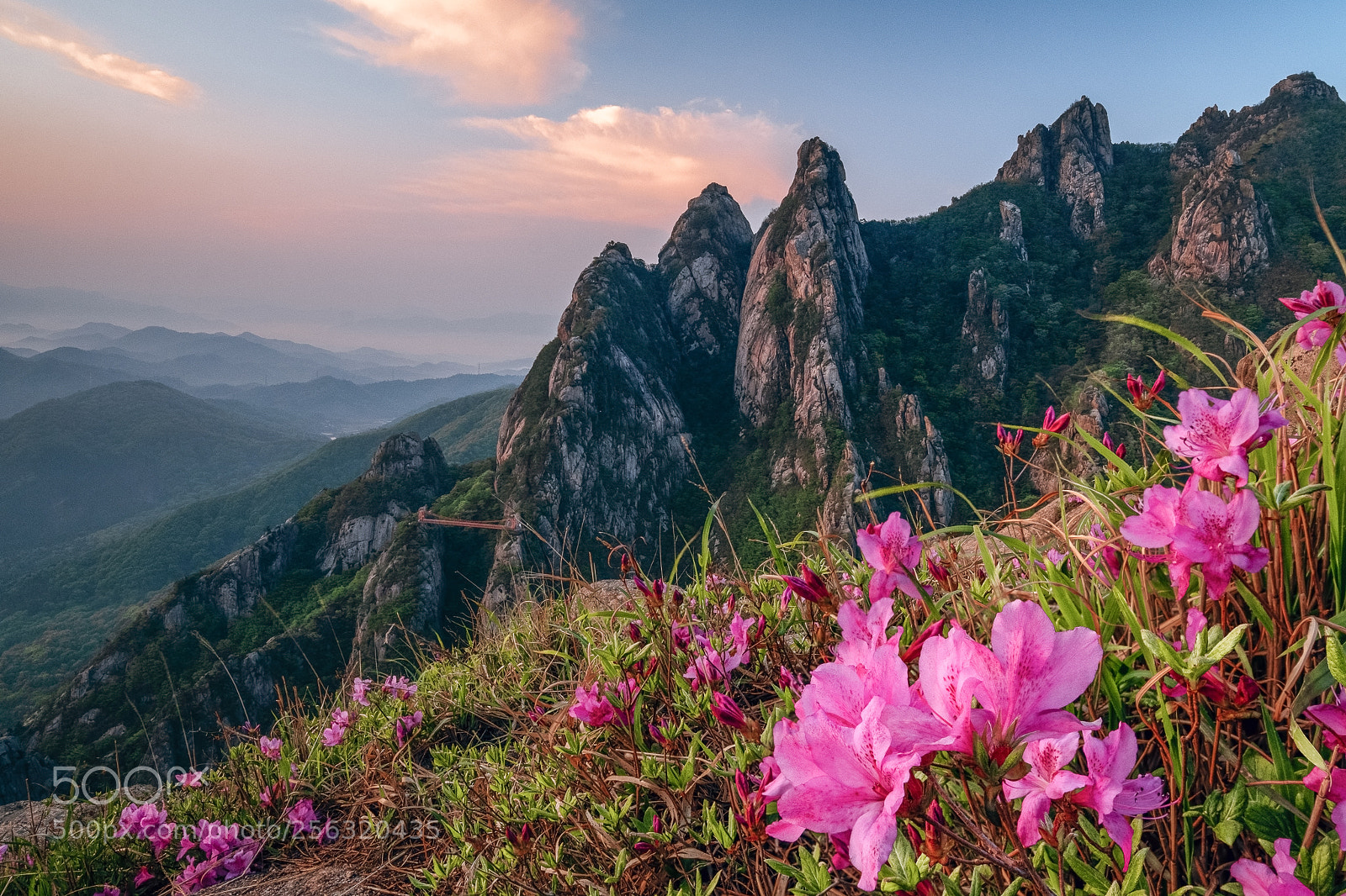 Fujifilm X-T2 sample photo. Spring in the mountain photography