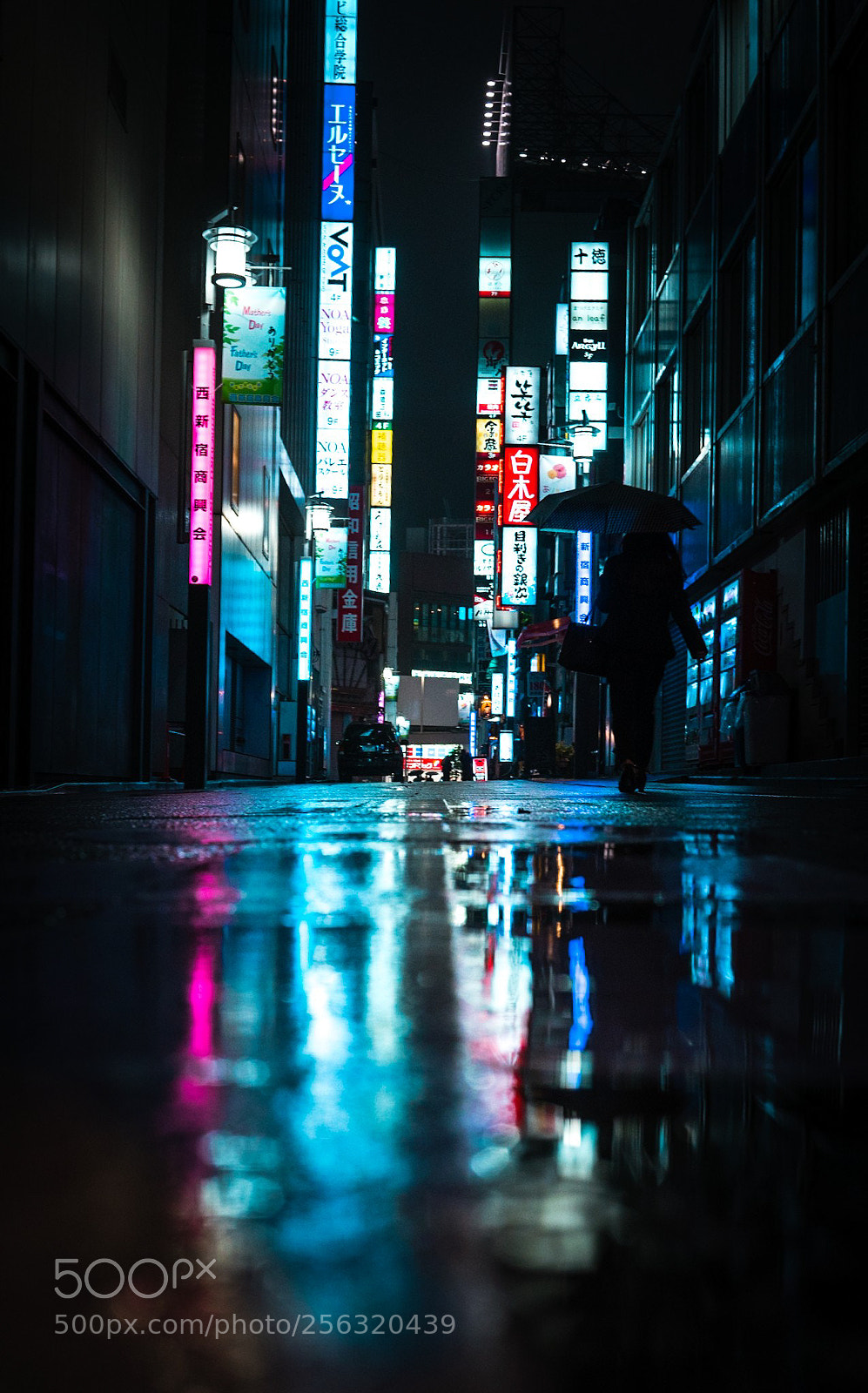 Sony a7R II sample photo. Blad3runner photography