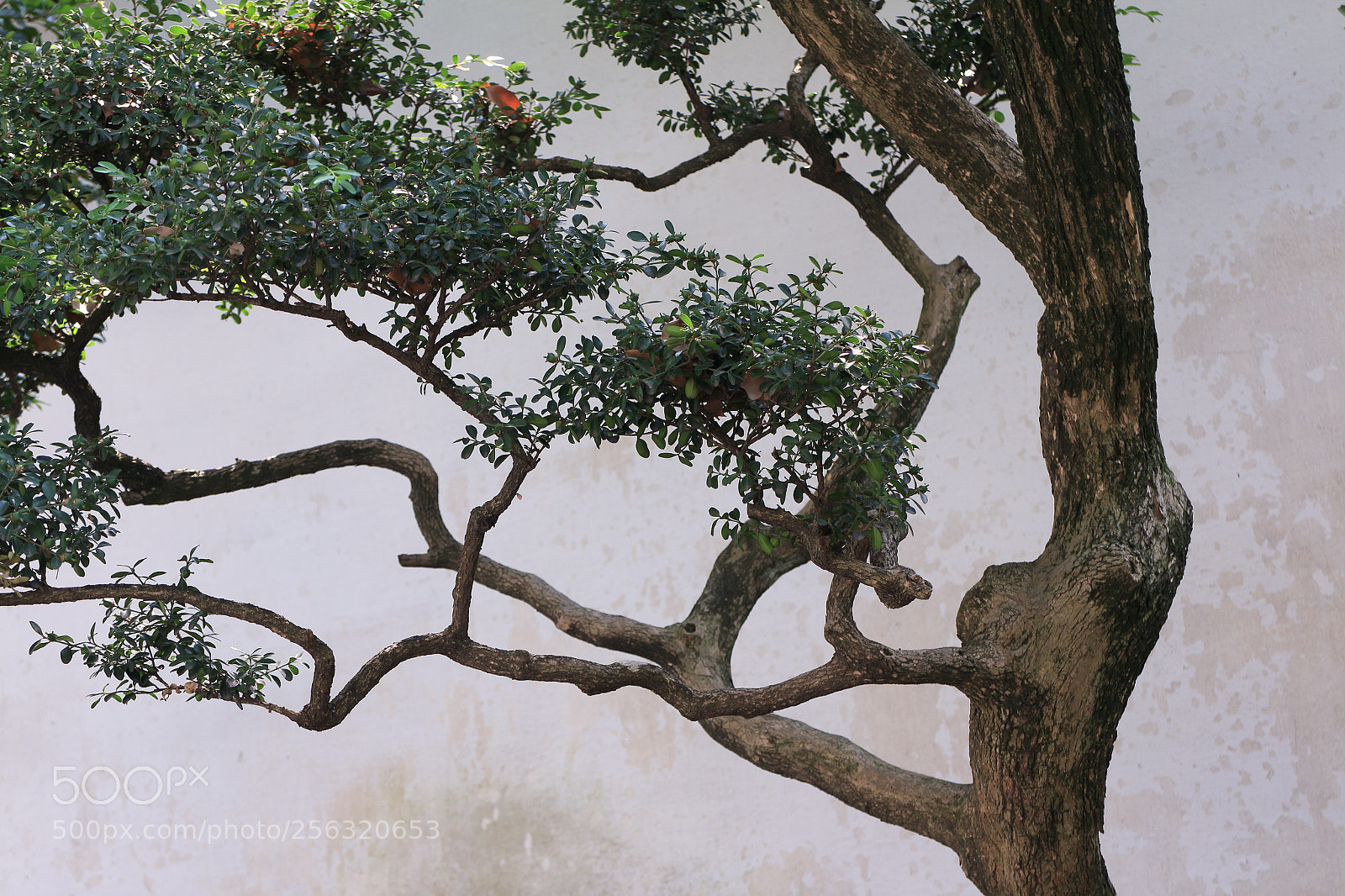 Canon EOS M sample photo. Untitled photography