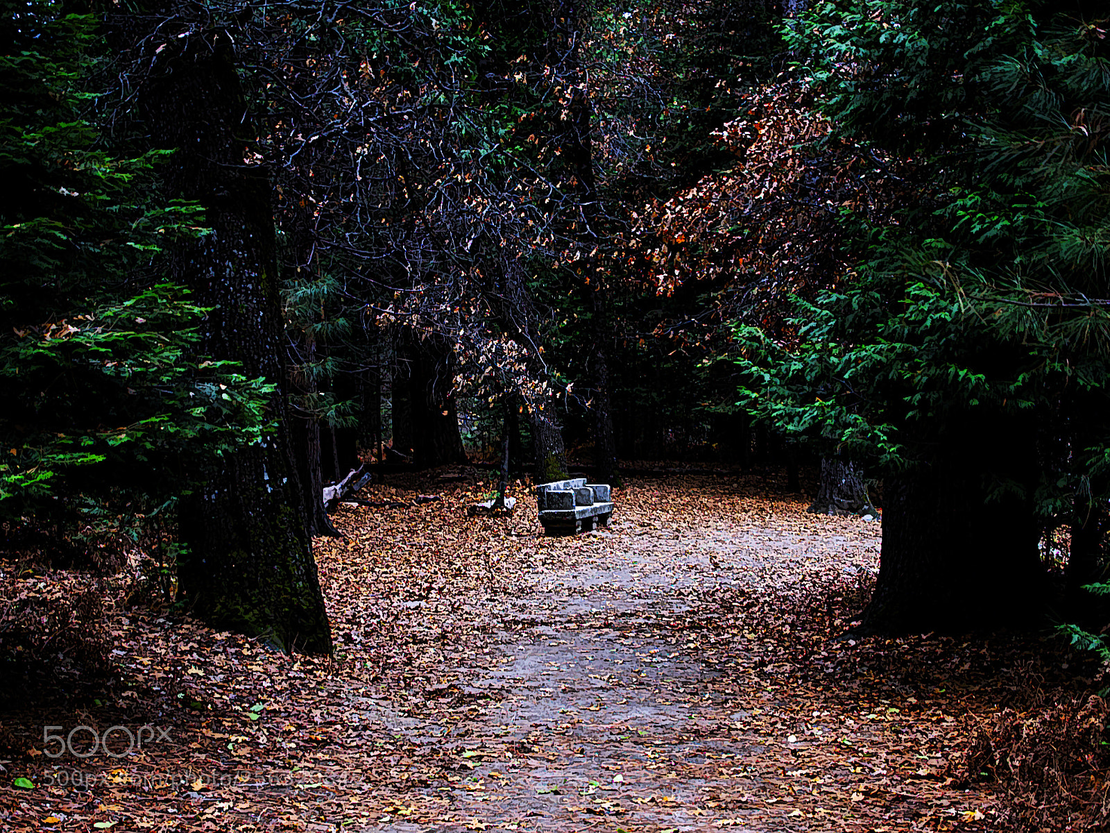Nikon D7000 sample photo. Have a seat! photography