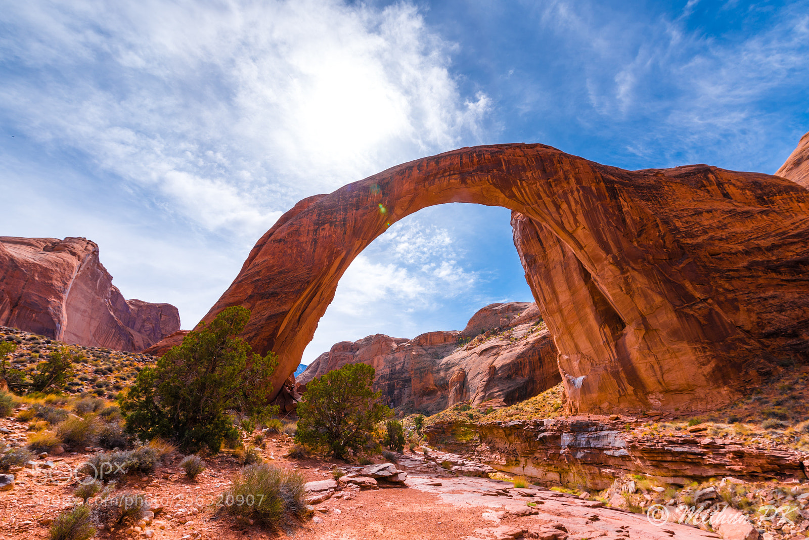Nikon D750 sample photo. The rainbow bridge - photography