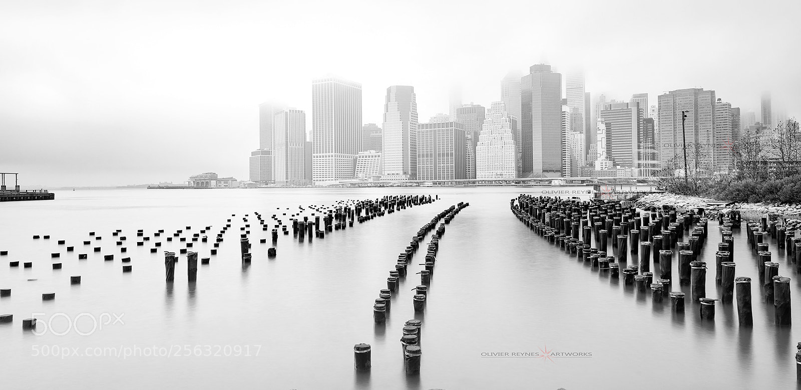Nikon D800 sample photo. Foggy day photography