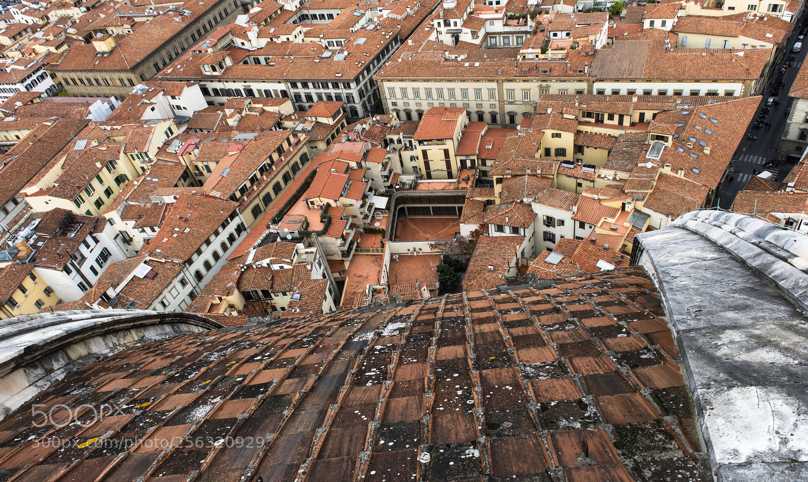 Nikon D810 sample photo. Top to bottom firenze photography