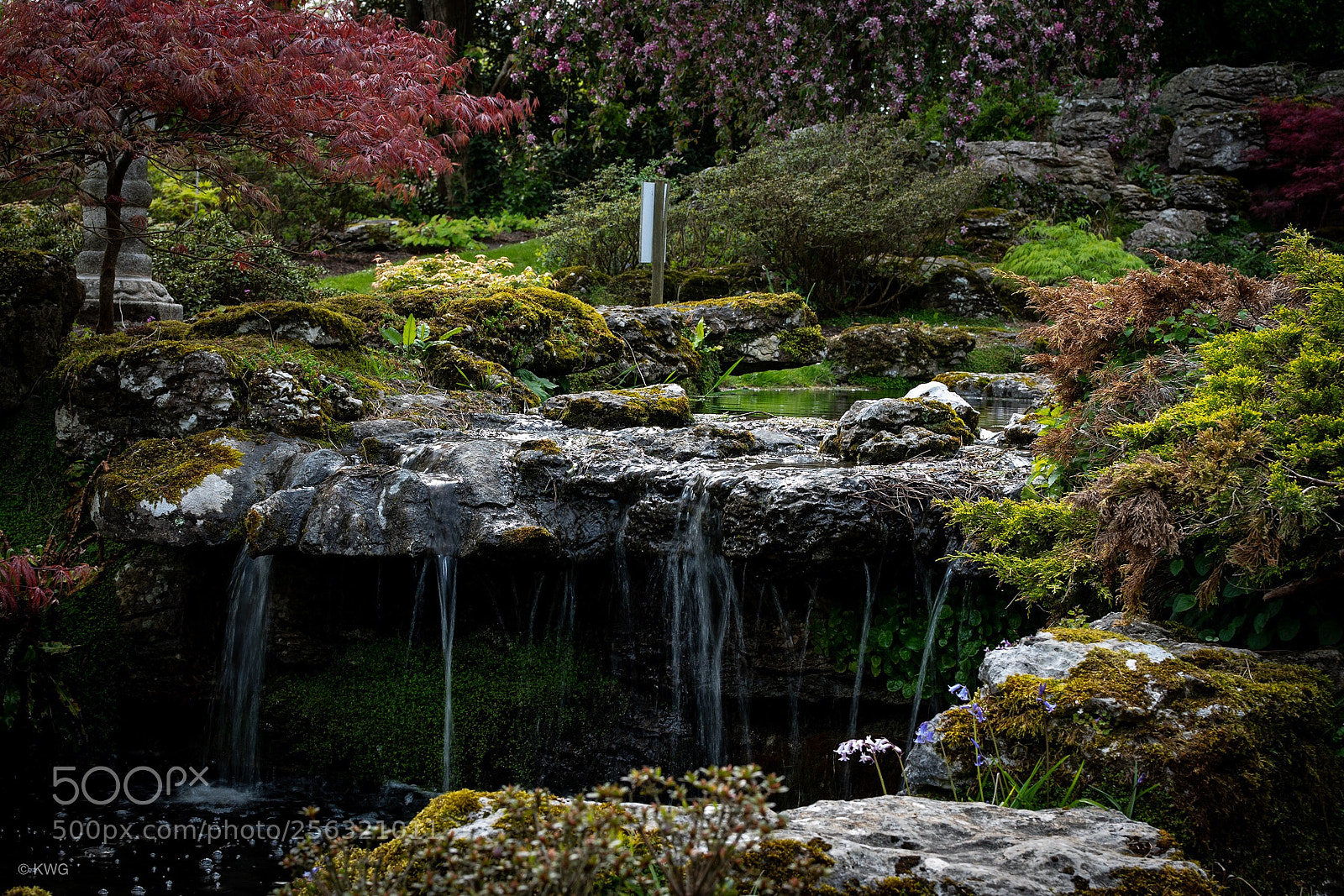 Nikon D7500 sample photo. Japanese garden photography