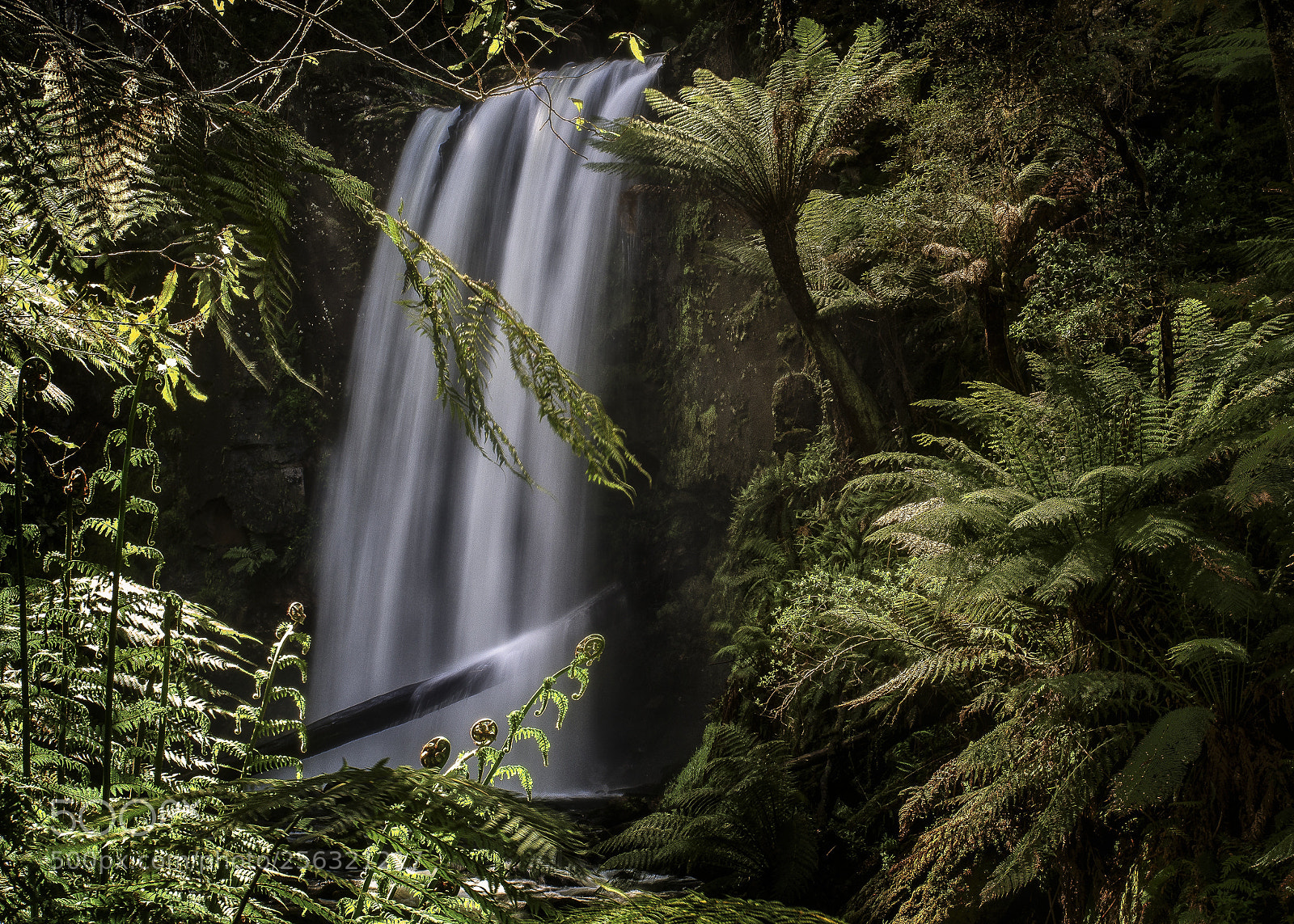 Olympus OM-D E-M5 sample photo. Hopetoun falls photography