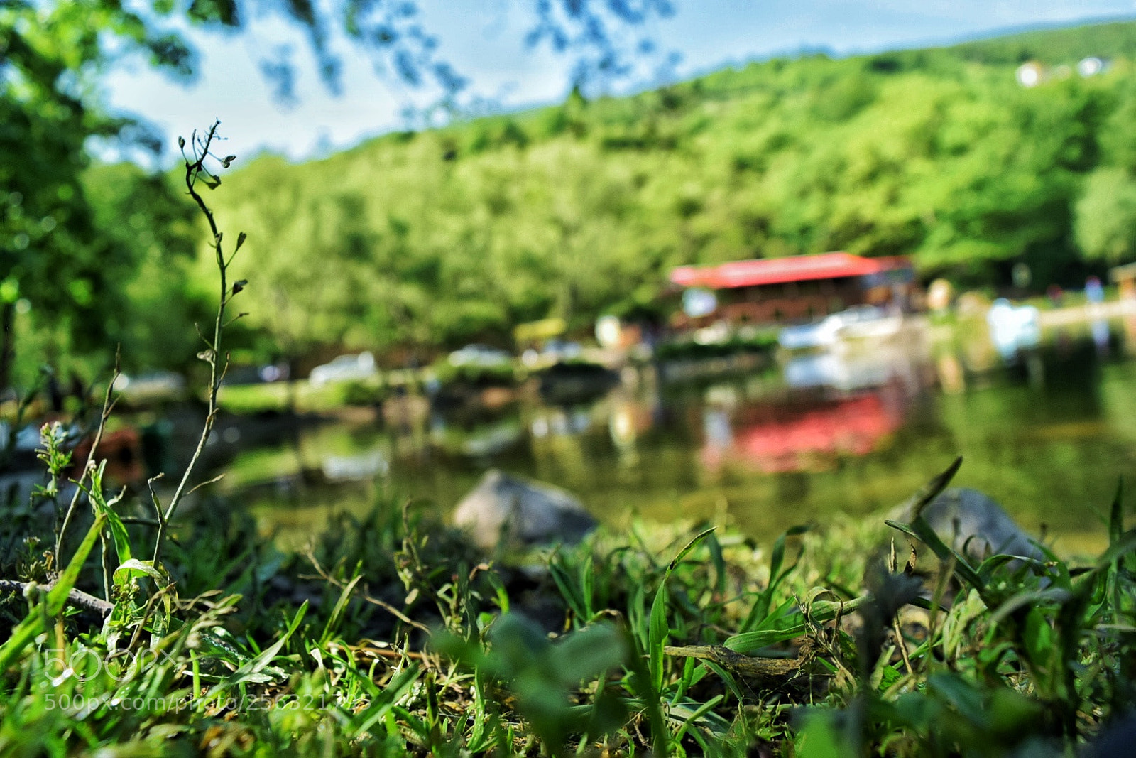 Nikon D5300 sample photo. Untitled photography
