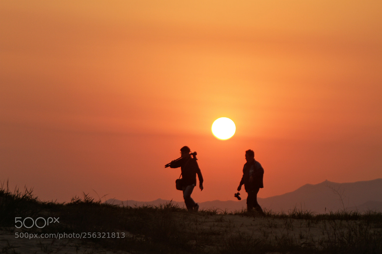 Canon EOS 7D sample photo. In search of the photography