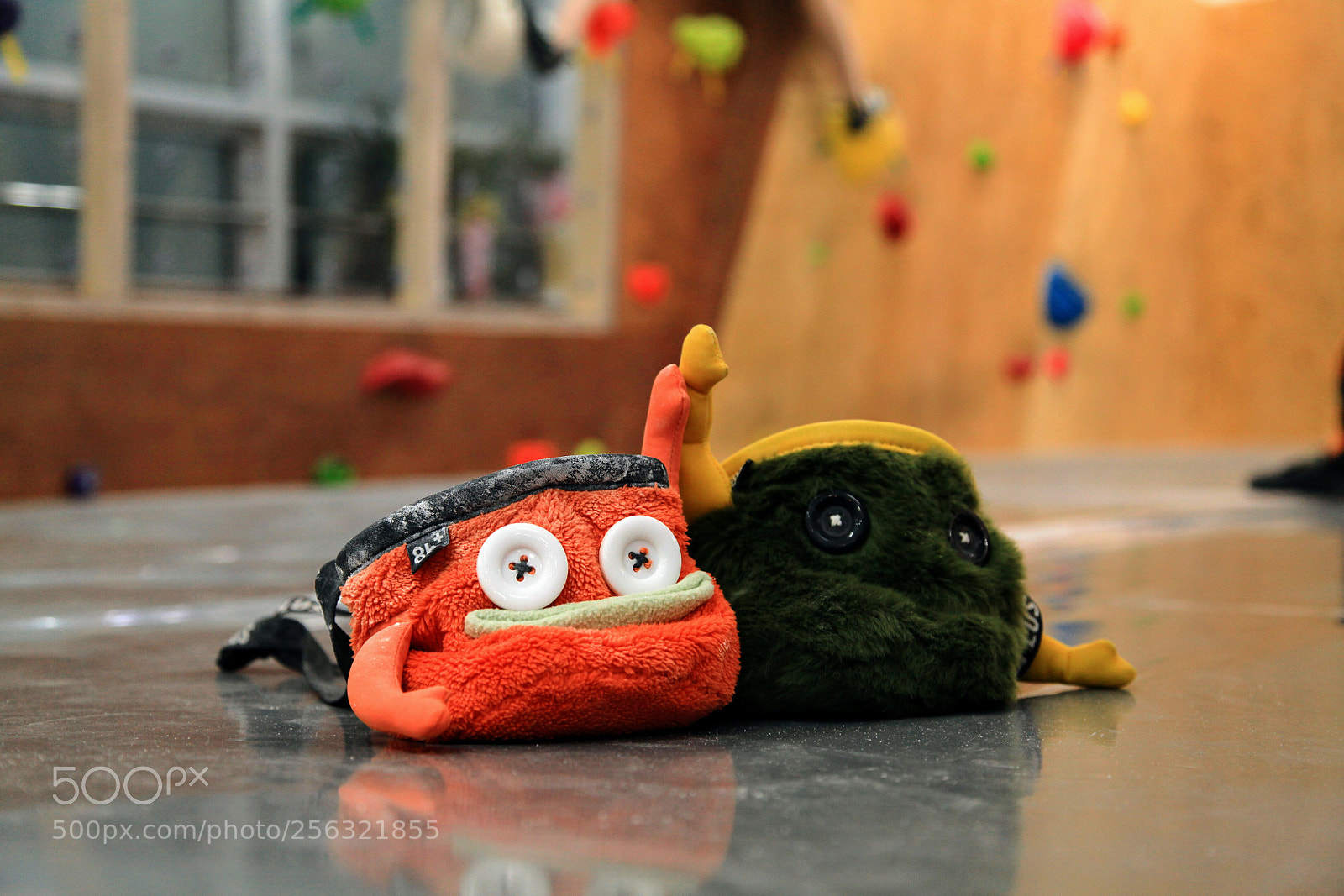 Canon EOS 5D Mark II sample photo. ~ photography