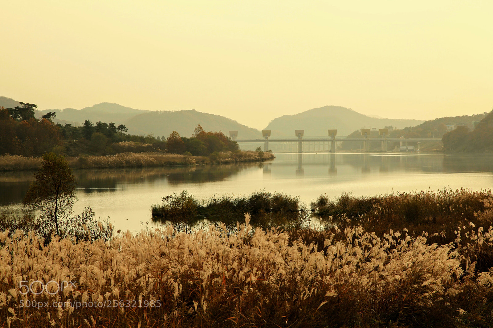 Canon EOS 5D Mark II sample photo. Riverside photography