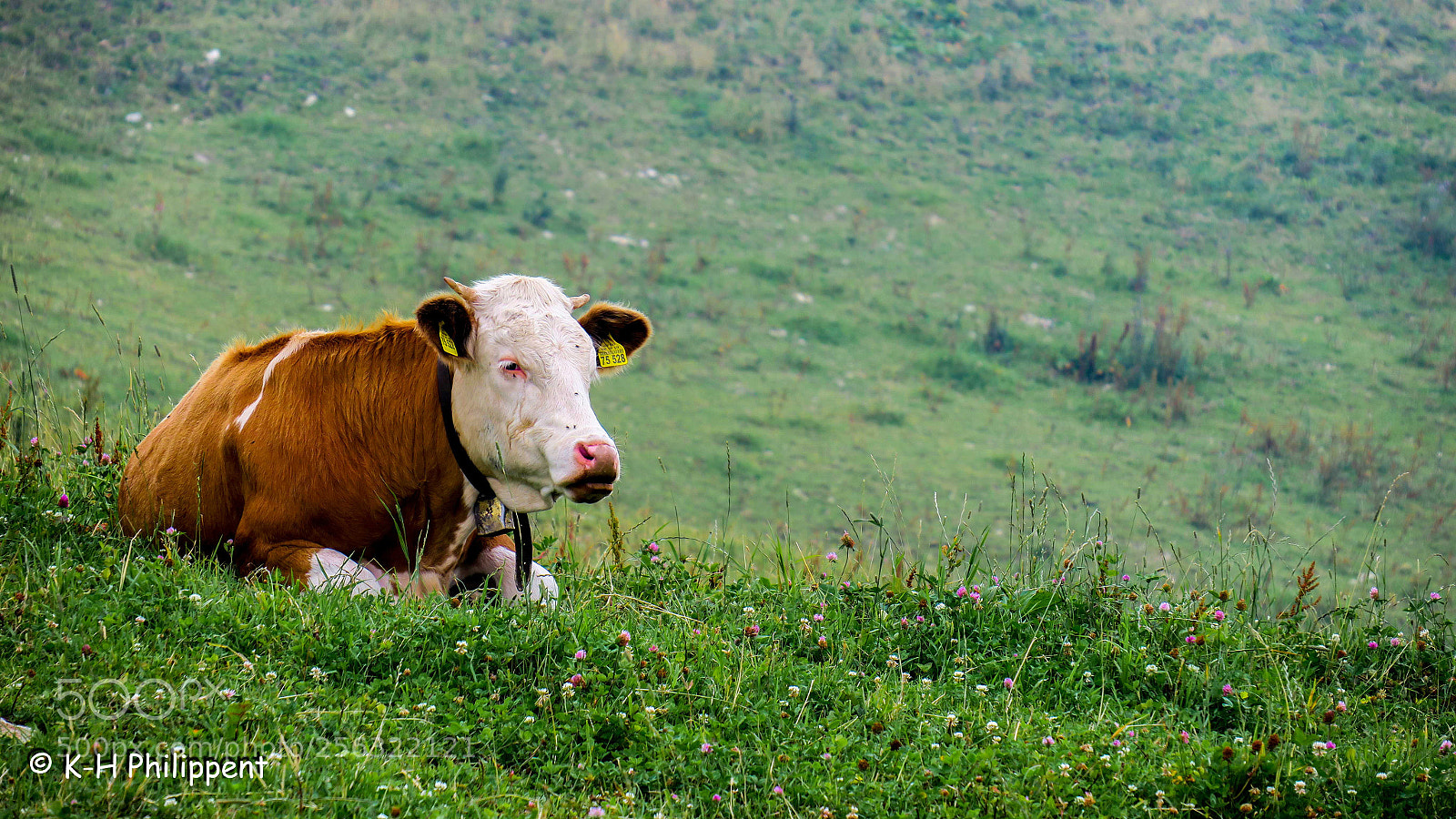 Canon PowerShot G3 X sample photo. Bayrischzell germany the dairy photography