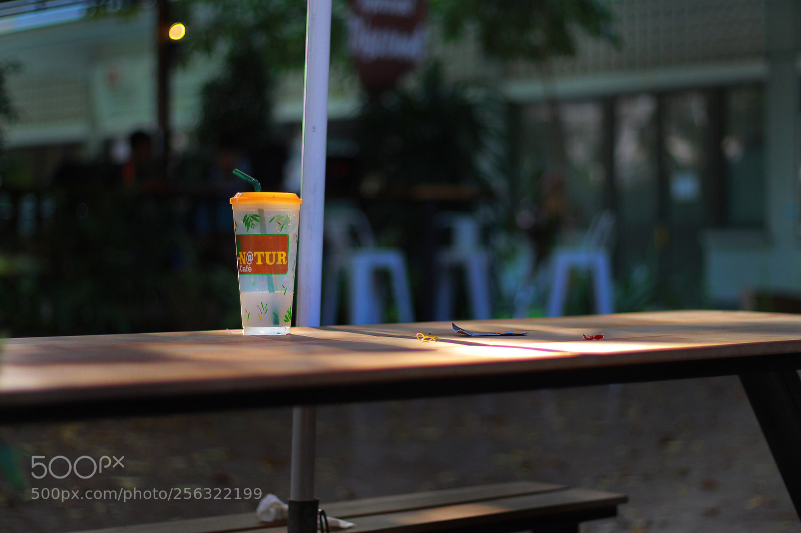 Canon EOS 650D (EOS Rebel T4i / EOS Kiss X6i) sample photo. Untitled photography