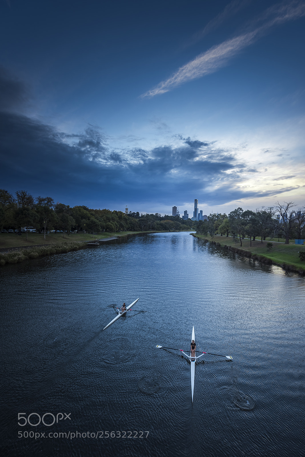 Nikon D810 sample photo. Rowing photography