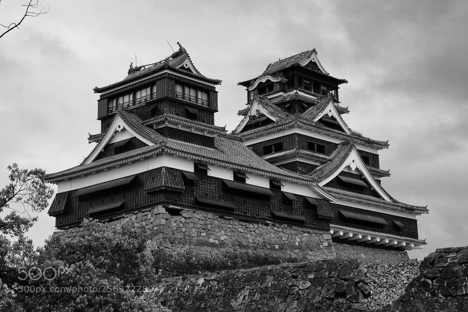 Canon EOS 5D Mark II sample photo. Kumamoto castle photography
