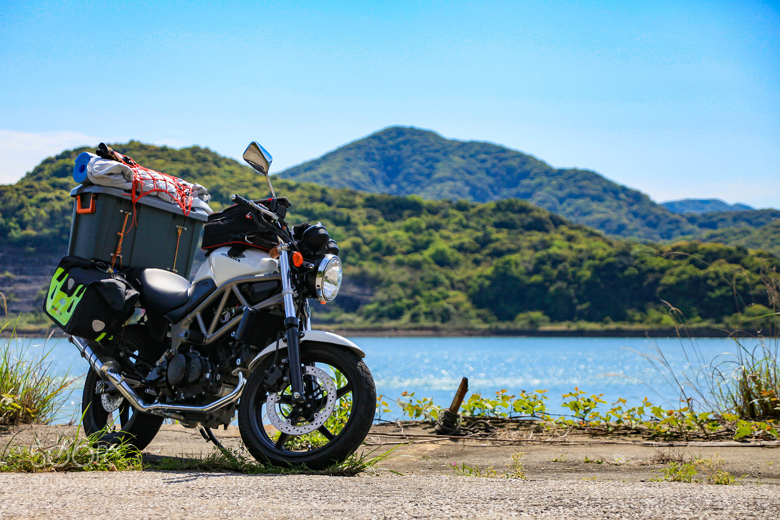 Canon EOS 5D Mark II sample photo. Vtr250 in amakusa photography