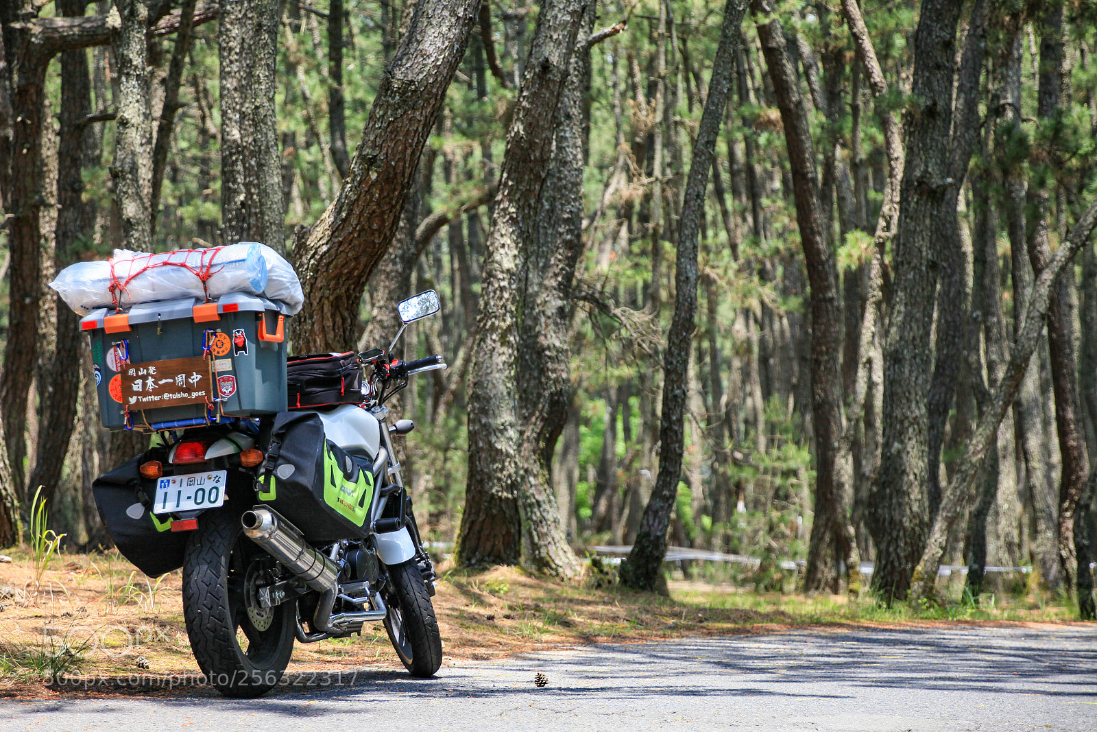 Canon EOS 5D Mark II sample photo. Vtr250 in nijino-matsubara photography