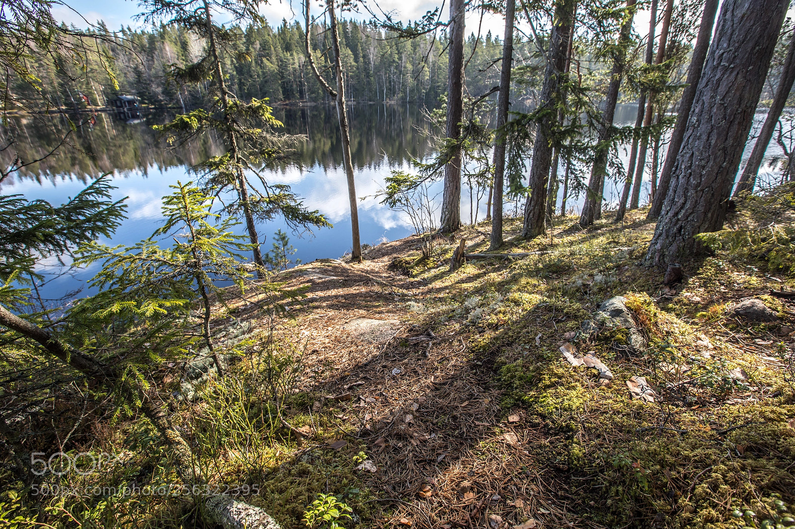 Canon EOS 5D Mark IV sample photo. Lake morning x photography