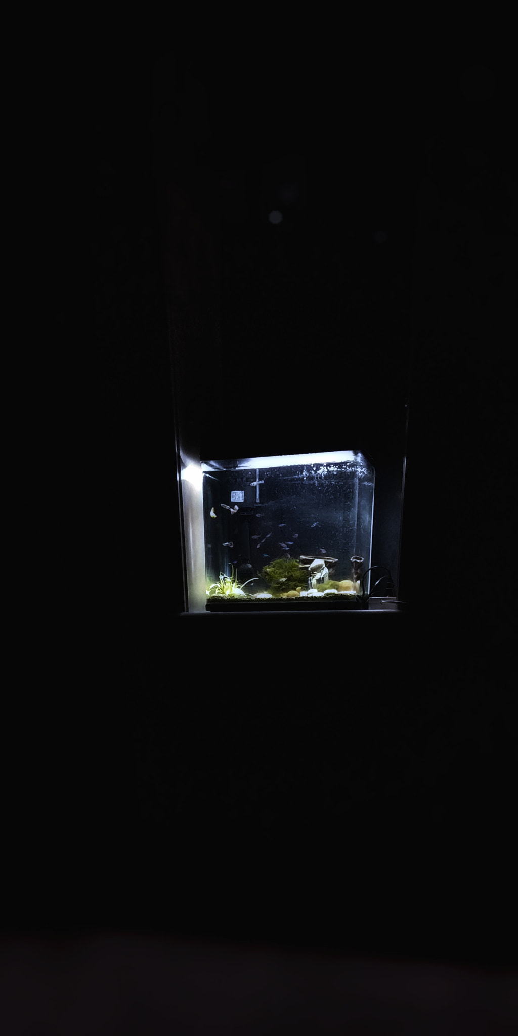 Xiaomi MIX 2 sample photo. 夜 photography