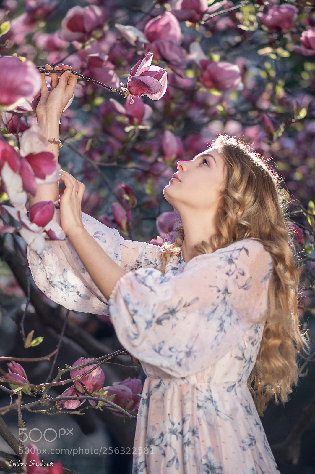 Nikon D750 sample photo. Attraction photography