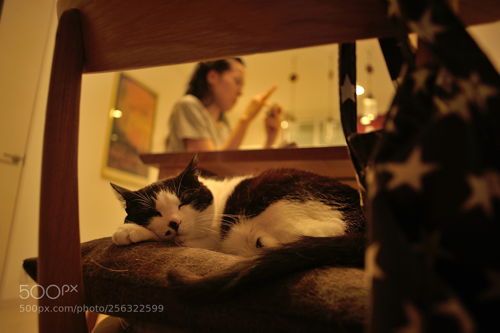 Nikon D700 sample photo. Get comfortable,please photography