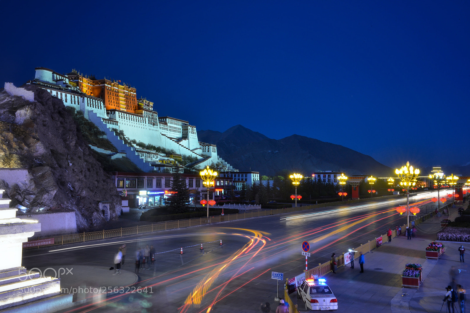 Nikon D800 sample photo. Potala palace photography