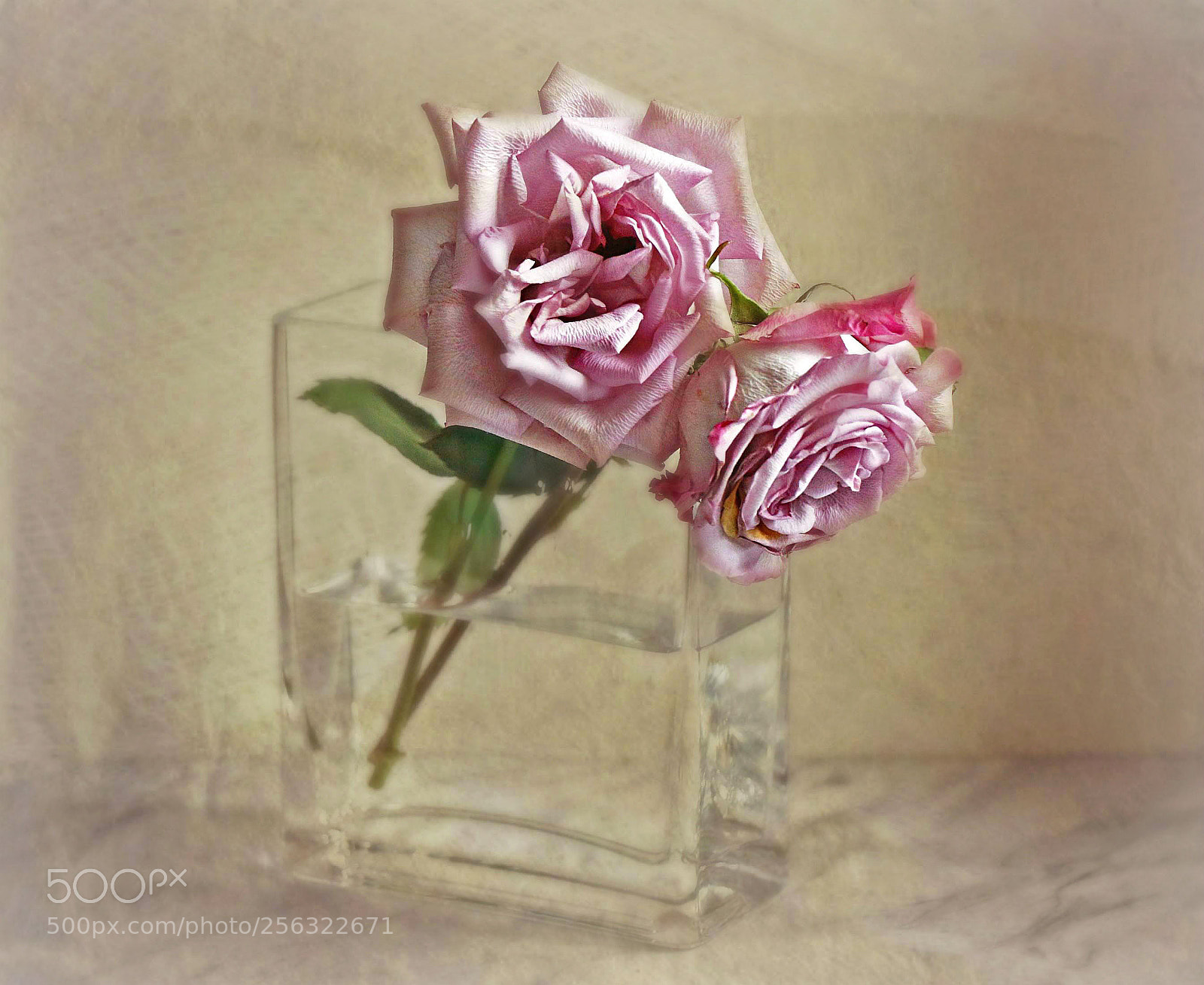 Canon EOS 70D sample photo. Fading away photography