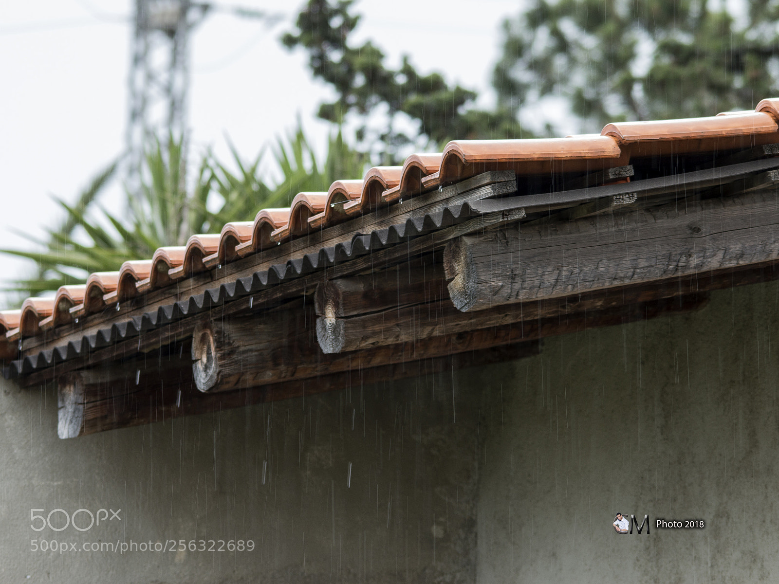 Canon EOS 70D sample photo. Scende la ☔ photography