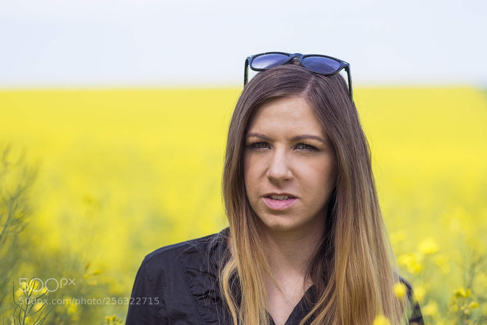 Nikon D610 sample photo. Yellow photography