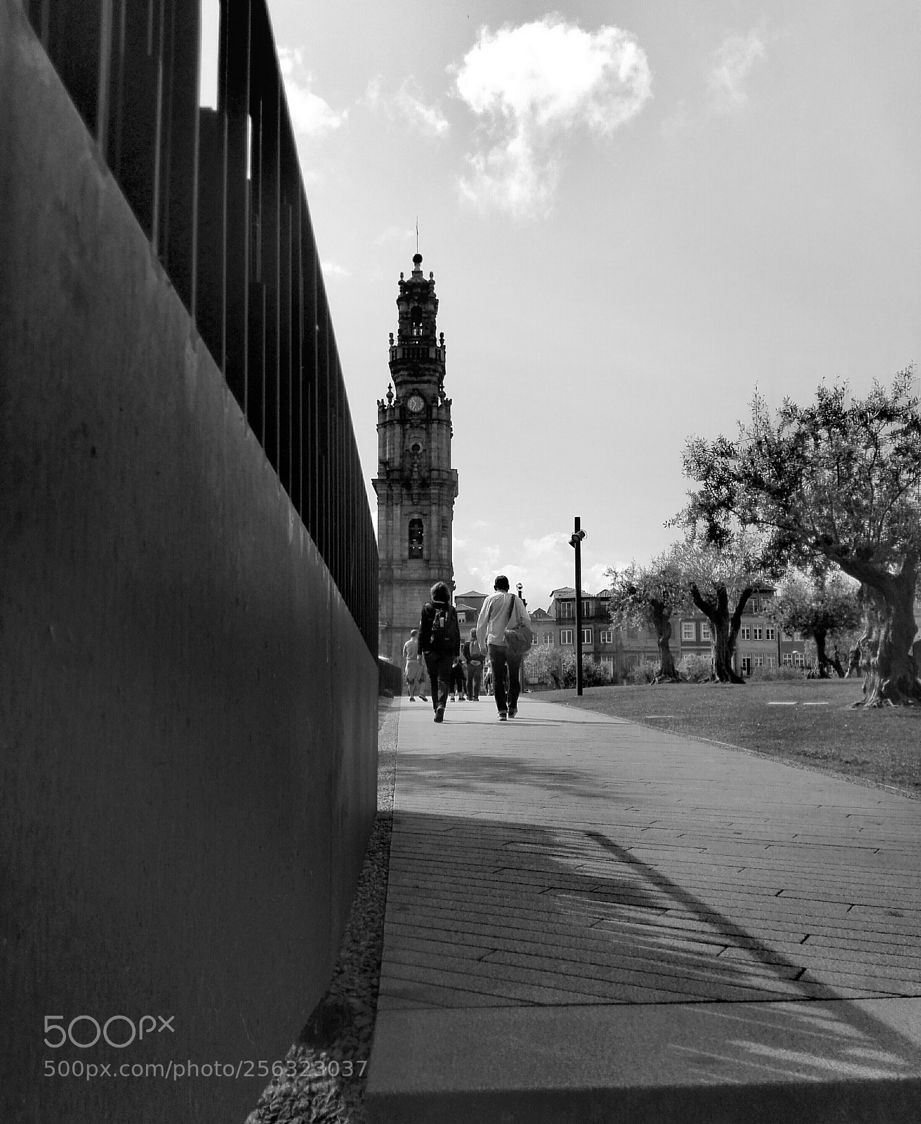 HUAWEI P8 Lite sample photo. Untitled photography