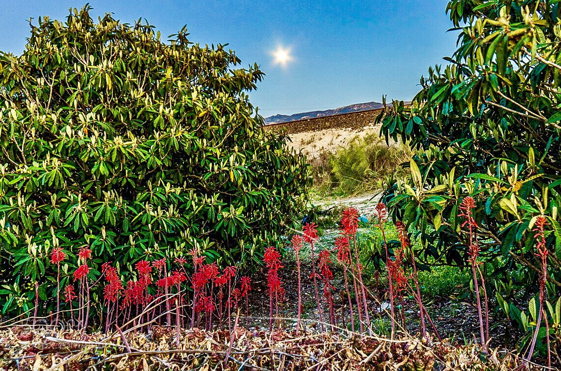 Nikon D7000 sample photo. Rgb and moon photography