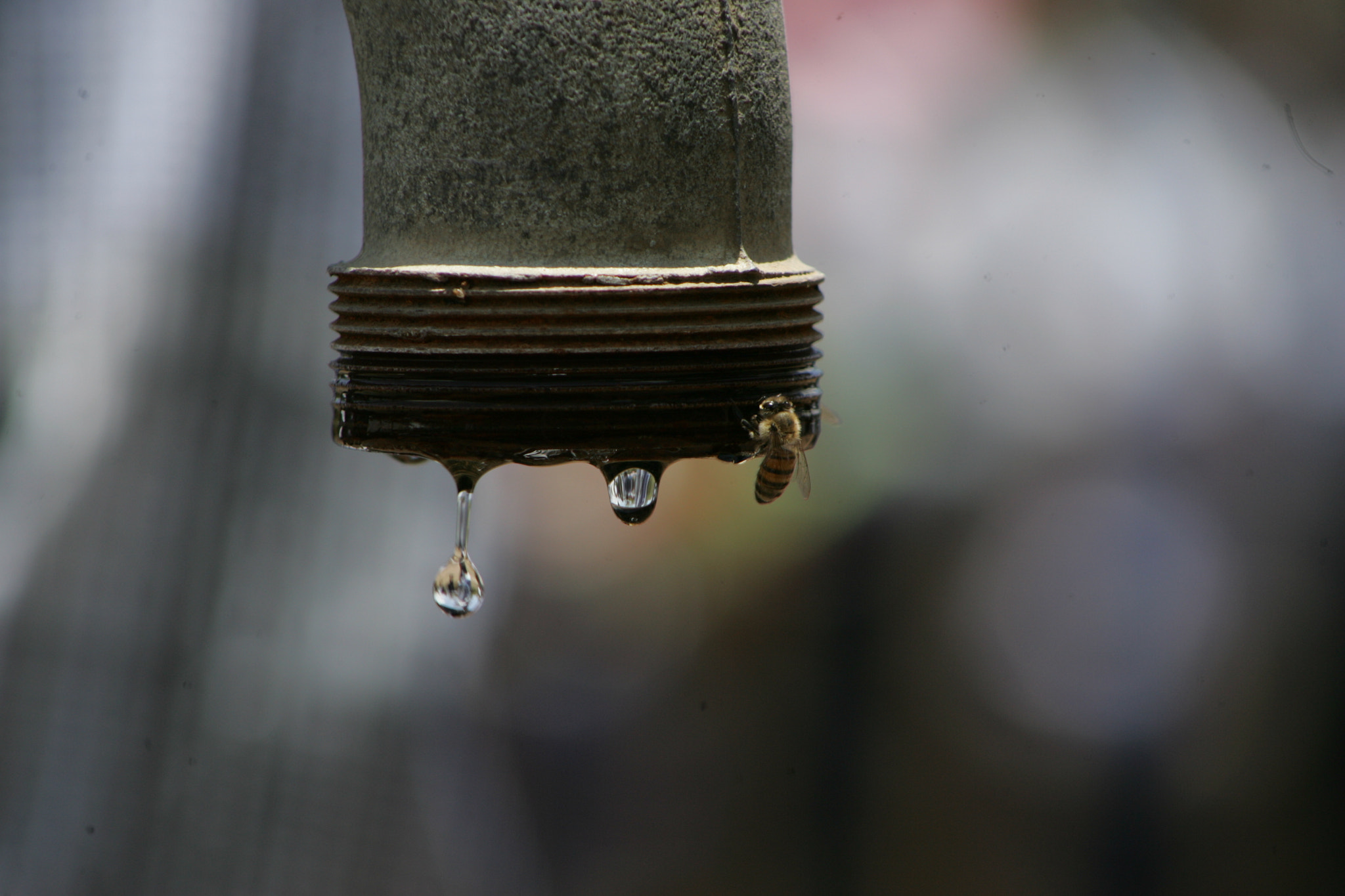 Canon EOS-1D Mark II sample photo. Water photography