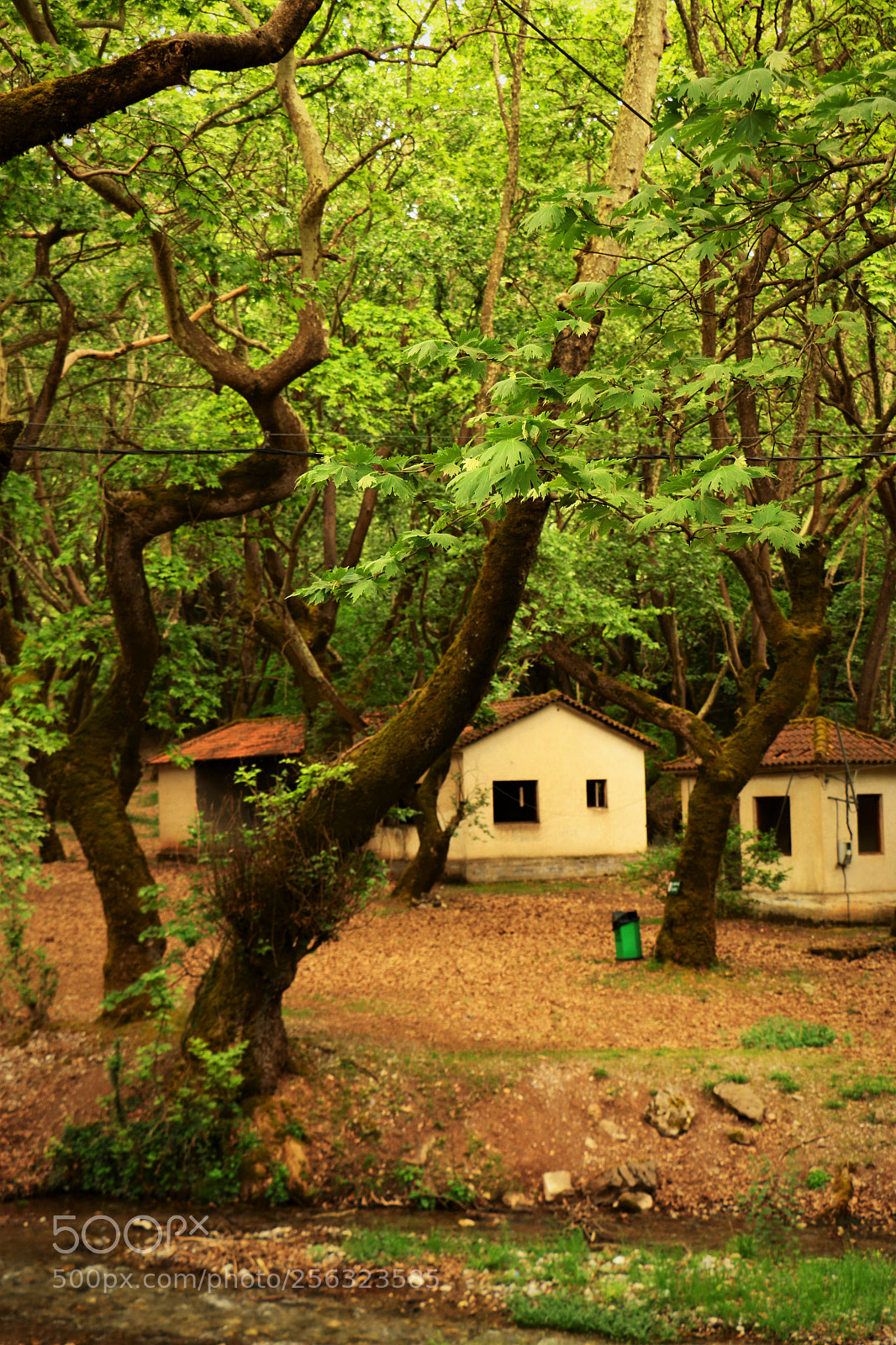 Canon EOS 70D sample photo. The little houses into photography