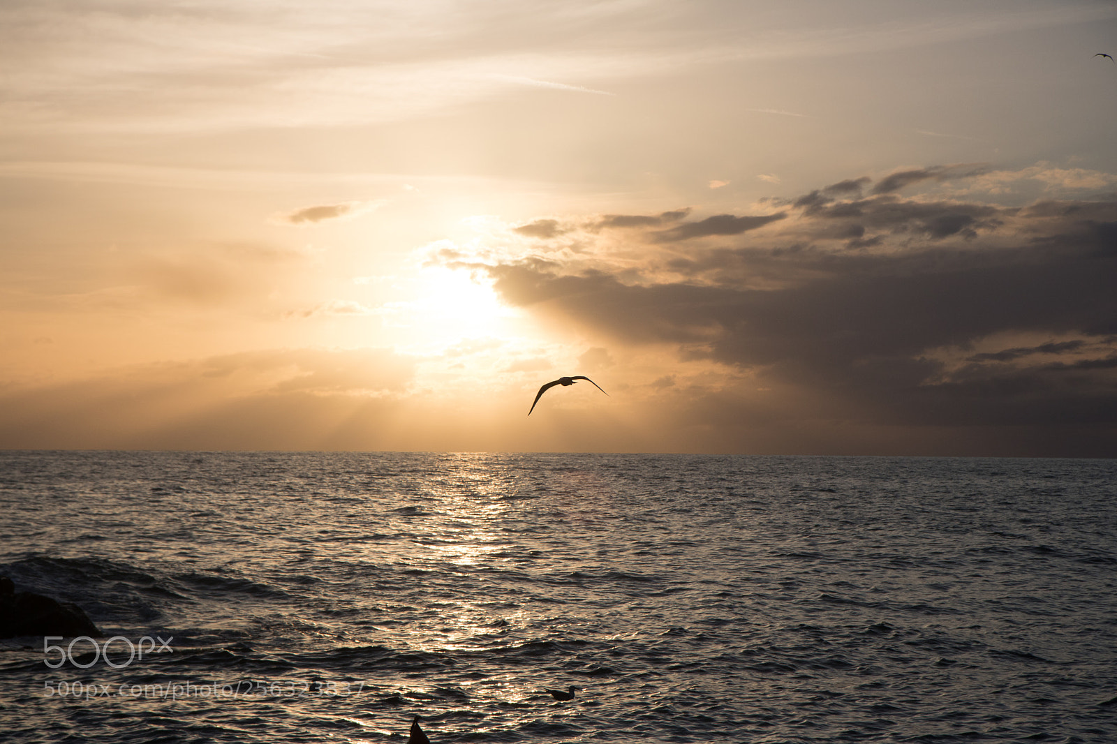 Canon EOS 760D (EOS Rebel T6s / EOS 8000D) sample photo. Sunset at cinque terre photography