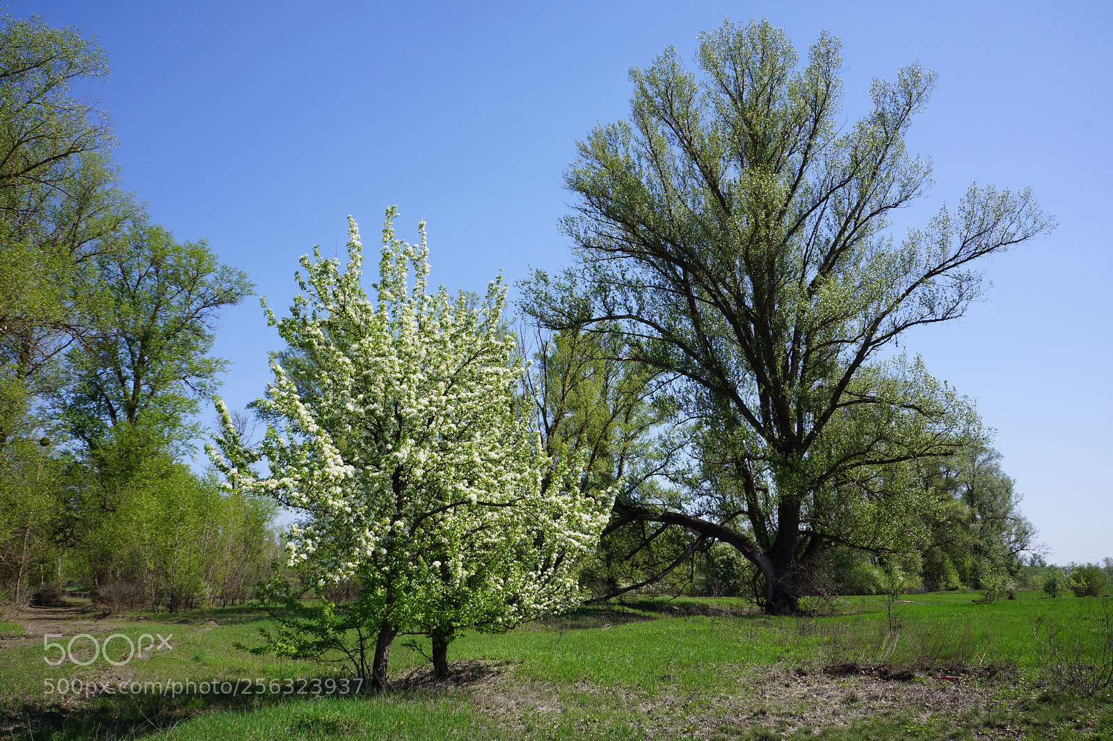 Sony Alpha NEX-7 sample photo. Untitled photography