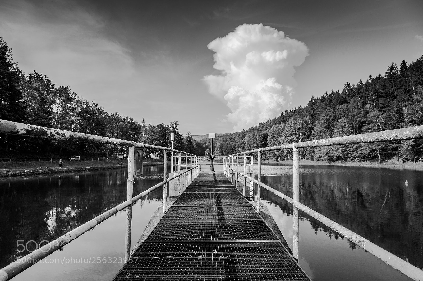 Canon EOS 5D Mark II sample photo. Mushroom cloud photography