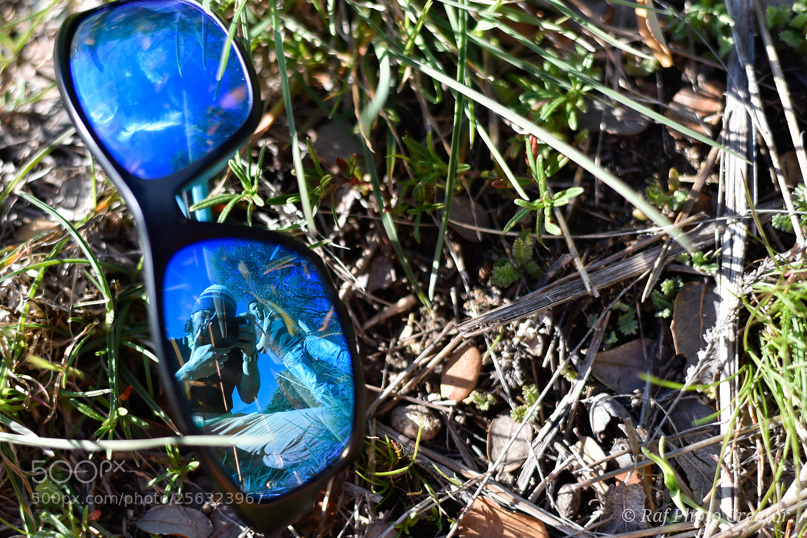 Nikon D750 sample photo. Untitled photography