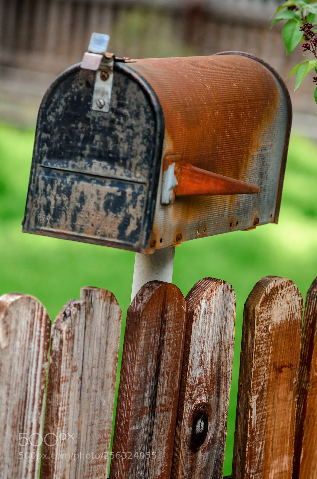 Nikon D7000 sample photo. Mnail box photography