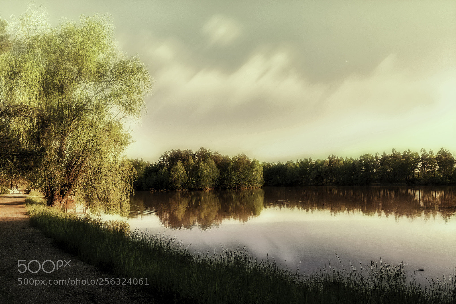 Canon EOS 6D Mark II sample photo. Willowtree photography