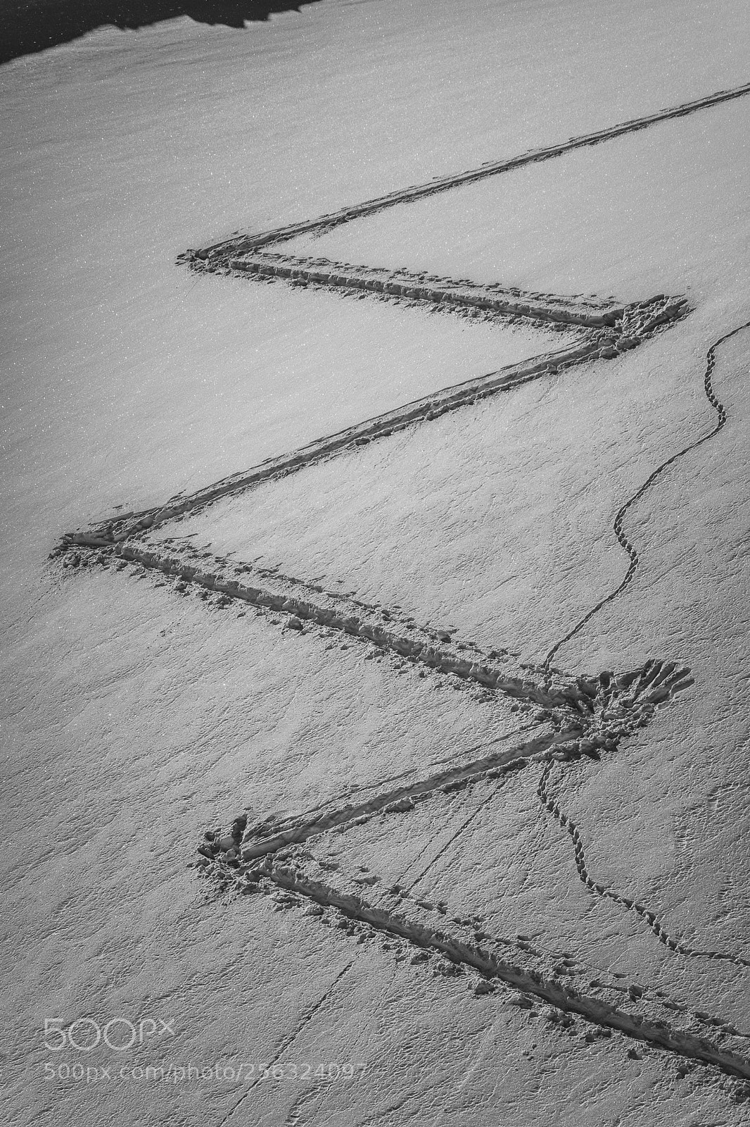 Nikon D7100 sample photo. Twists and turns photography