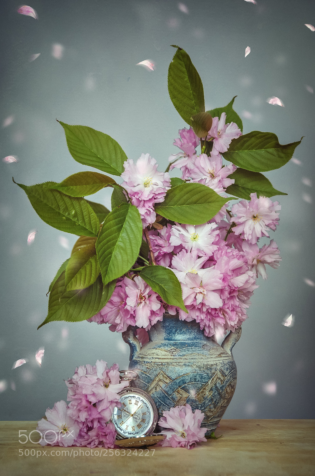Nikon D7000 sample photo. Spring blossom photography