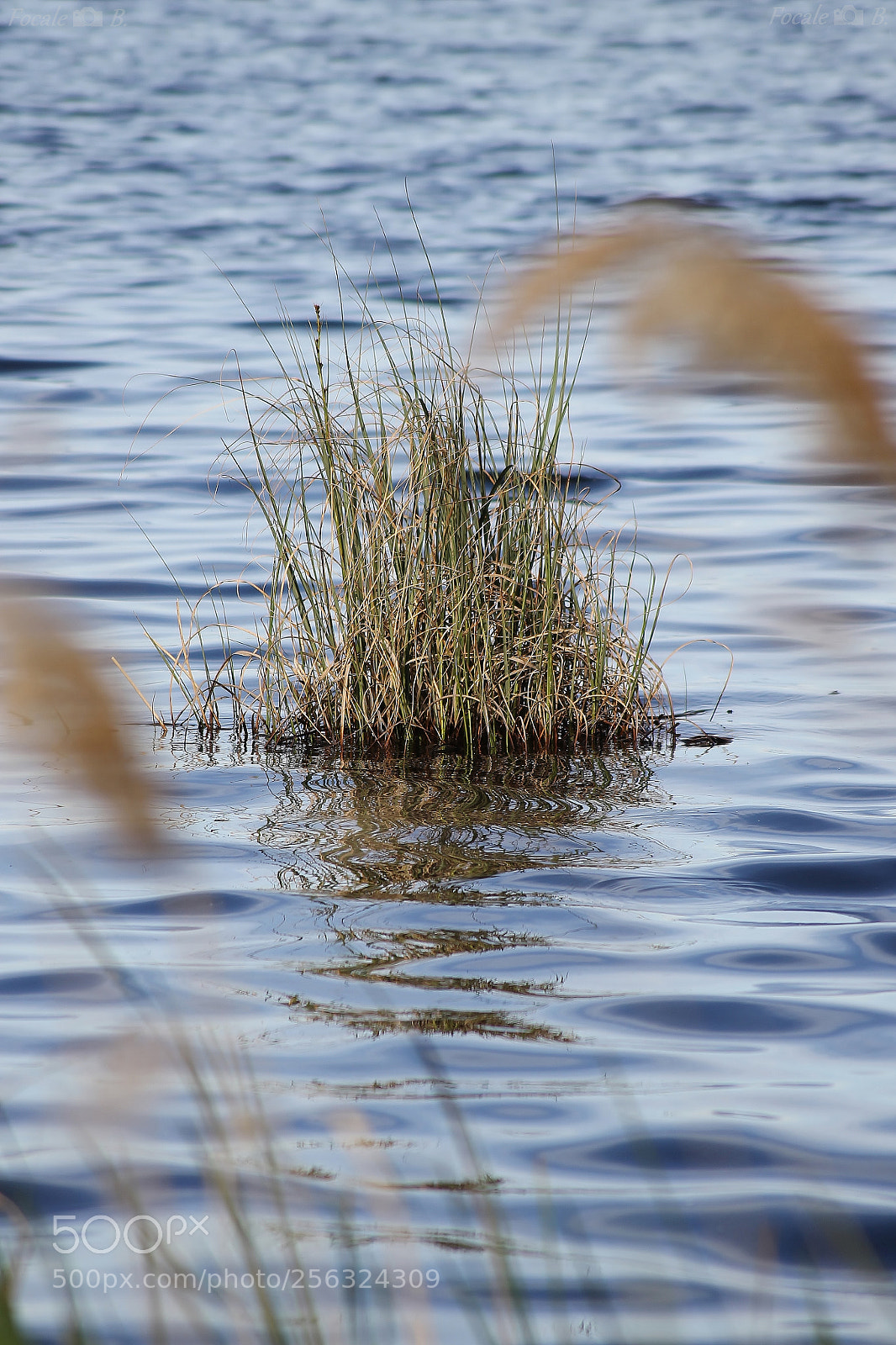 Canon EOS 1100D (EOS Rebel T3 / EOS Kiss X50) sample photo. Little , very little island photography