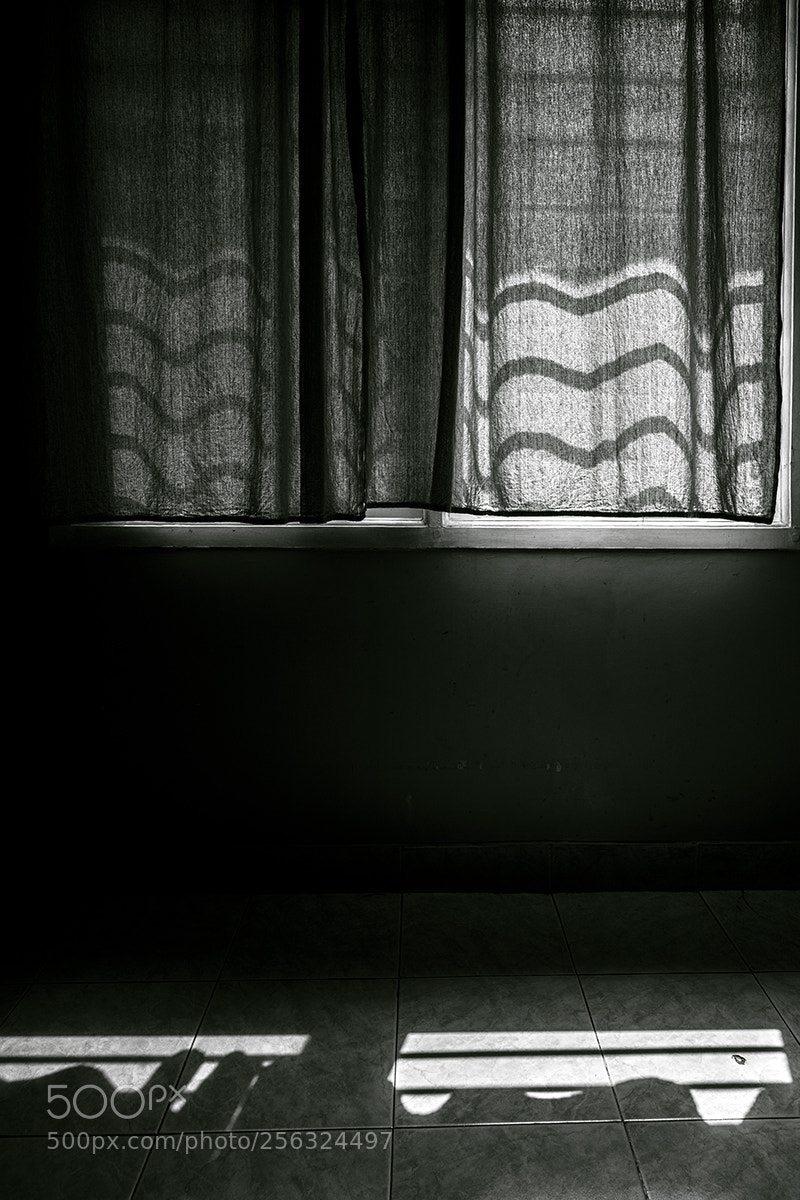 Nikon D850 sample photo. Let there be light photography