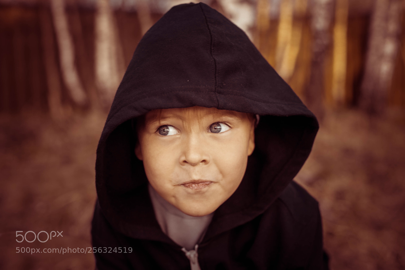 Canon EOS 6D sample photo. Untitled photography
