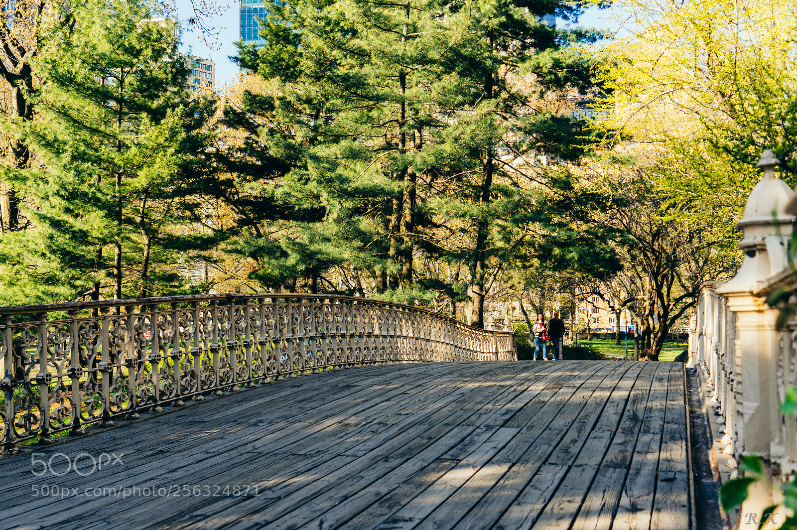 Sony a7R sample photo. Things are not always photography